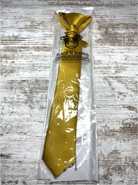 Boys Gold Pre-Tied Zipper Tie Formal Wedding Easter New Sealed